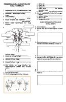 Lks Perkembangbiakan Generatif Pada Tumbuhan