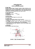 LKS Sistem Pernapasan Manusia