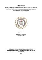 LP Aub [PDF]