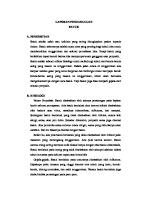 LP Batuk [PDF]