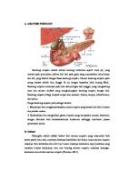 LP Cholangitis [PDF]