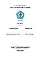 LP Gangguan Integritas Kulit [PDF]