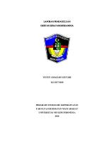 LP Gigitan Serangga [PDF]