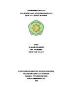 LP Imunisasi [PDF]