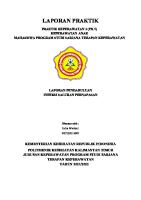 LP Indra ISPA MG 1 [PDF]