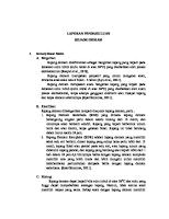 LP Kejang Demam 1 [PDF]