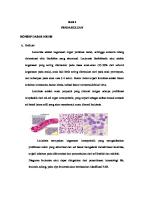 LP Leukemia-1