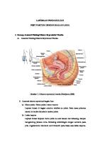 LP Partus Kala II Lama by Sifa [PDF]