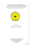 Lp&askep Batu Ureter [PDF]