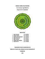 Makalah Analisis Jurnal Kehamilan [PDF]