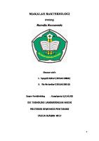 Makalah Bakteri 3 [PDF]