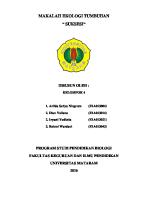 Makalah Ekologi Tumbuhan Suksesi [PDF]