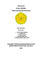 Makalah Etika Profesi Kesehatan Masyarakat [PDF]