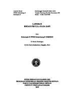 Makalah Fistula. Fix [PDF]