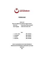 Makalah Fonologi Kel 3 [PDF]