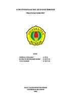 Makalah Fraud Dan Korupsi - Kelompok 3 [PDF]