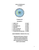 Makalah Imunologi Ii - Kel'2 - Autoimun