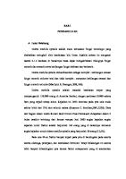 Makalah Sumsum Tulang Blakang JD [PDF]