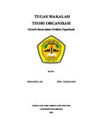 Makalah Teori Organisasi Nor Fadillah [PDF]