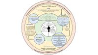 Mandala of Health [PDF]