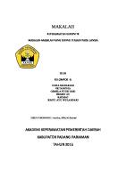 Masalah Penyakit Pada Lansia [PDF]