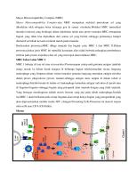 Mengenal MHC Kelas I [PDF]