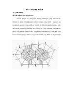 Metoda Polygon [PDF]