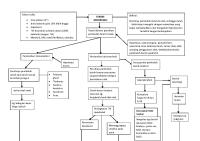 Mind Map Stroke Hemoragic