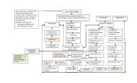 Mindmap Sinusitis [PDF]