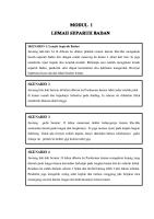 Modul 1 Hemiparese-Mhsw