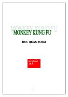 Monkey Kung Fu [PDF]