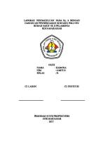 Ns Tina LP Gangguan Pendengaran [PDF]