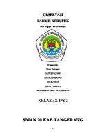 Observasi Pabrik Kerupuk [PDF]