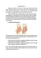 Oksiput Posterior [PDF]