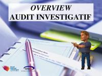 Overview Audit Investigatif