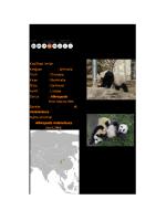 Panda [PDF]