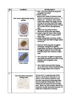 Parasitologi UPRAK