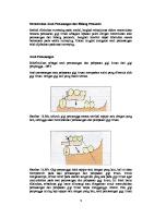 Path of Insertion and Guiding Plane