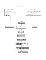 Pathophysiology of Cerebrovascular Accident