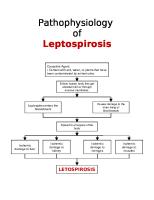 Pathophysiology Of: Leptospirosis