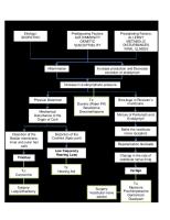 Pathophysiology of Meniere - Final