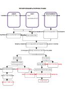 Pathophysiology of Nephrolithiasis