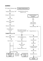 Pathway Acne Vulgaris