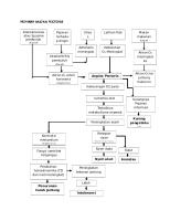 Pathway Angina Pectoris