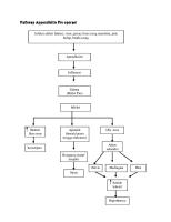 Pathway Appendicitis