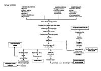 Pathway Asfiksia Febri