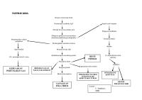 Pathway Asma [PDF]