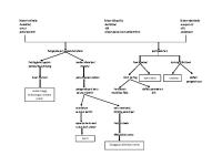 Pathway Batu Ureter