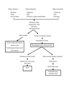 Pathway Batu Ureter