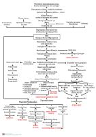 Pathway BPH Benigna Prostat Hiperplasia Pabrik Pathway PDF